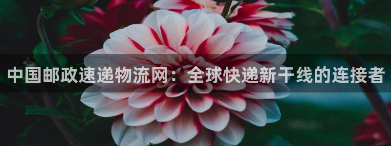 豪门国际链接