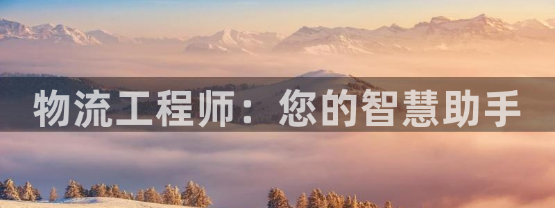 豪门国际的平台：物流工程师：您的智慧