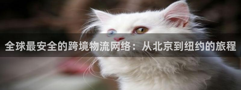 豪门国际在线预测