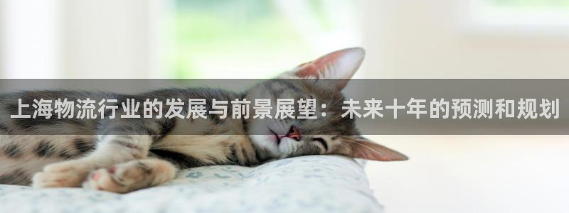 豪门国际v6能卖多少：上海物流行业的