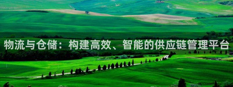豪门国际官网入口pc29官网版：物流