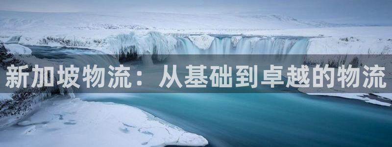 豪门国际流水怎么算：新加坡物流：从基