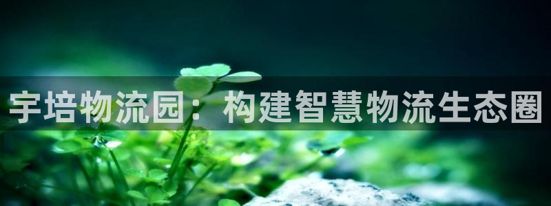 豪门国际相信品牌的力量：宇培物流园：