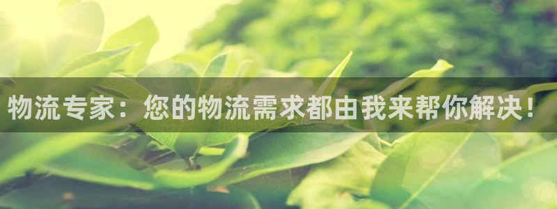 豪门国际可靠吗：物流专家：您的物流需