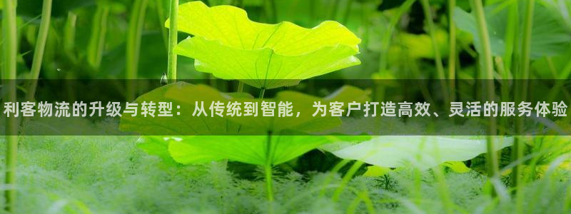 豪门国际加拿大下载：利客物流的升级与