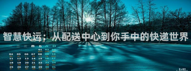 豪门国际如何看012路计划：智慧快运