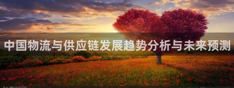 豪门国际官网下载：中国物流与供应链发