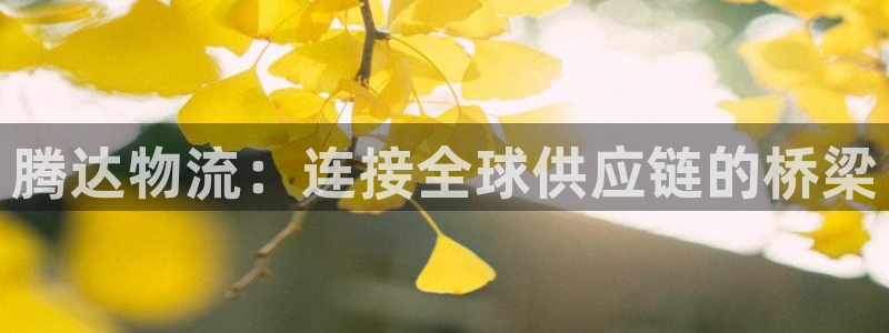 豪门国际注册问一问：腾达物流：连接全
