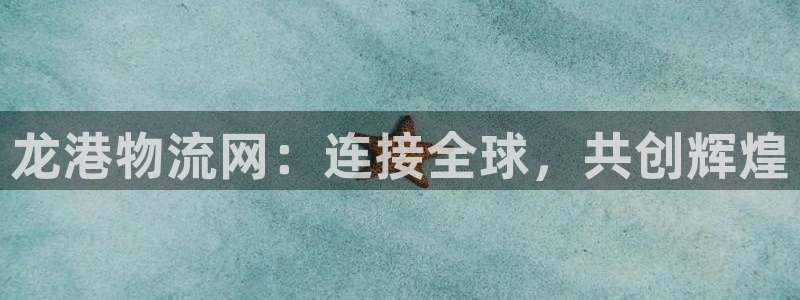 豪门国际怎么下载：龙港物流网：连接全