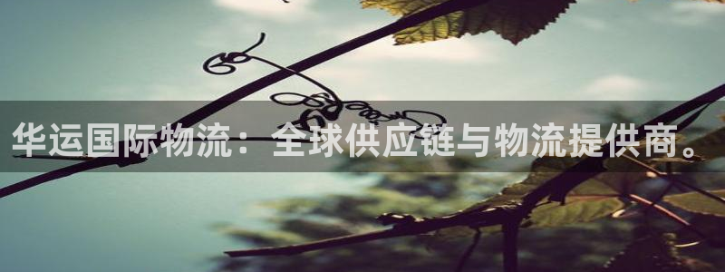 豪门国际加拿大最新版：华运国际物流：