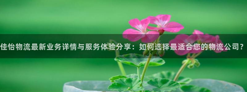 豪门国际是南宫旗下的吗：佳怡物流最新