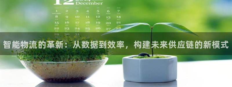 豪门国际圈助手:智能物流的革新:从数