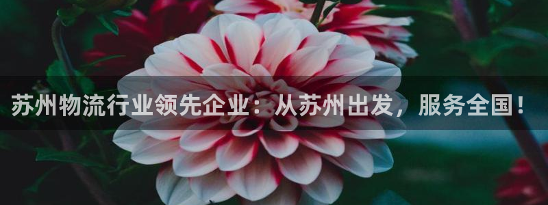 豪门国际退款：苏州物流行业领先企业：从苏州出发，服务全国！