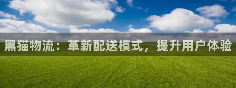 豪门国际加拿大官网：黑猫物流：革新配