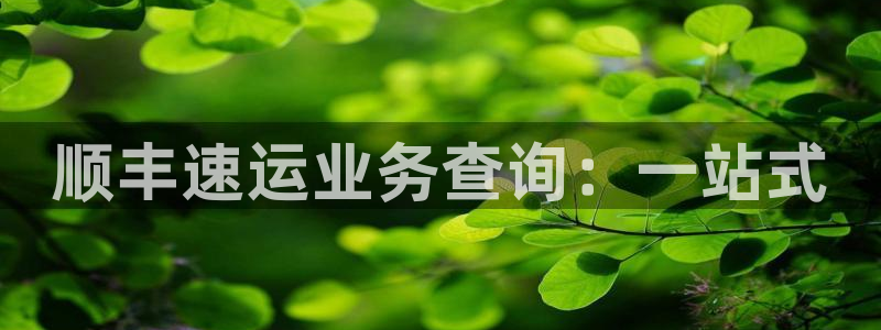 豪门国际图片：顺丰速运业务查询：一站