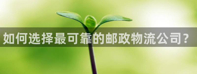 豪门国际官网入口pc预测：如何选择最