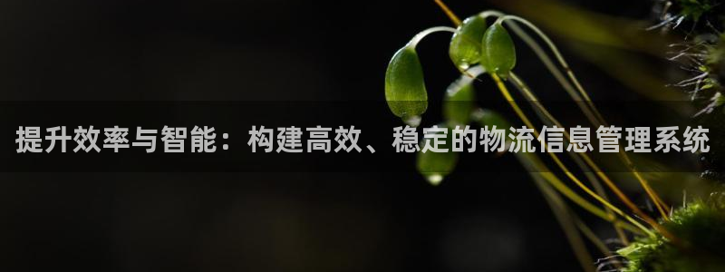 豪门国际吧：提升效率与智能：构建高效