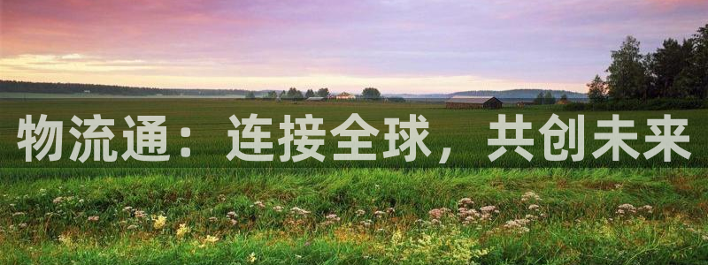 豪门国际p扣除是什么意思：物流通：连