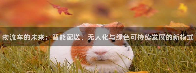 加拿大豪门国际数字规则：物流车的未来