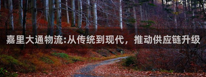 豪门国际软件是诈骗吗：嘉里大通物流: