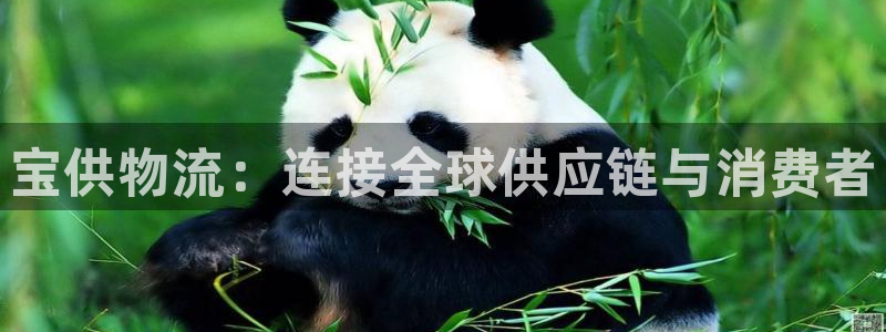 豪门国际官网入口pc29官网版下载